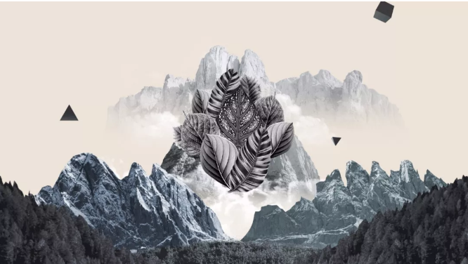 白菜资源网-白菜导航大全