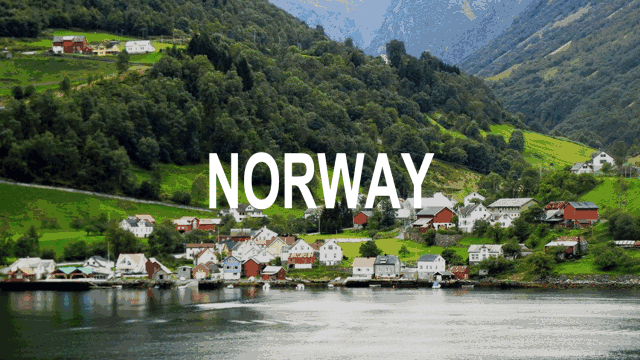 白菜资源网-白菜导航大全