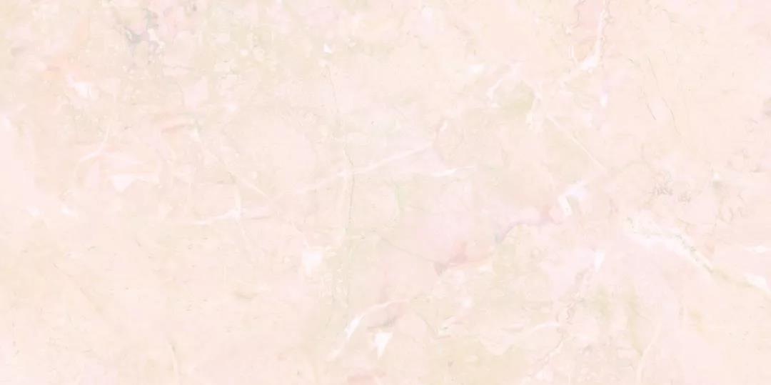 白菜资源网-白菜导航大全