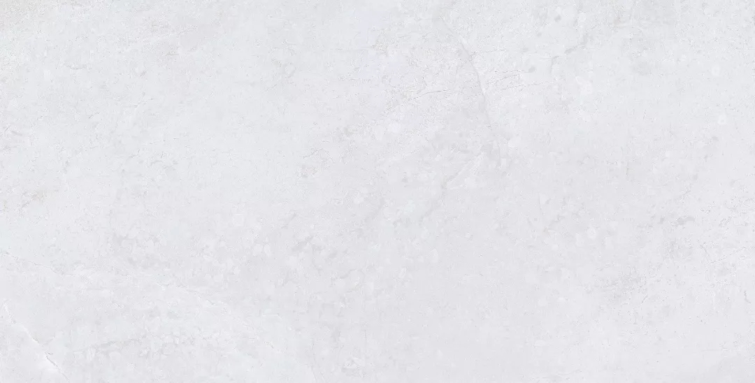 白菜资源网-白菜导航大全