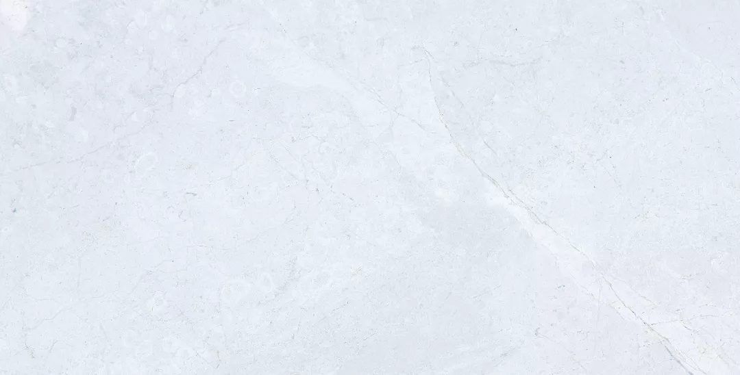 白菜资源网-白菜导航大全