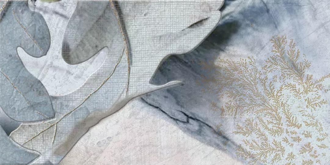 白菜资源网-白菜导航大全