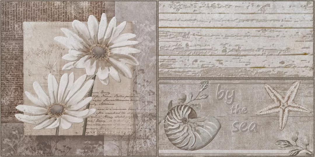 白菜资源网-白菜导航大全