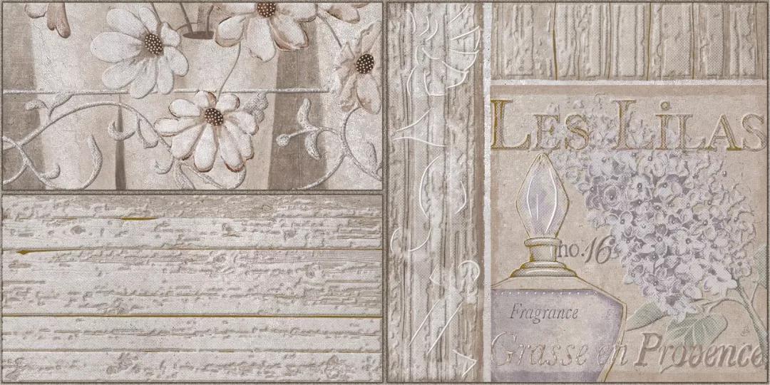 白菜资源网-白菜导航大全