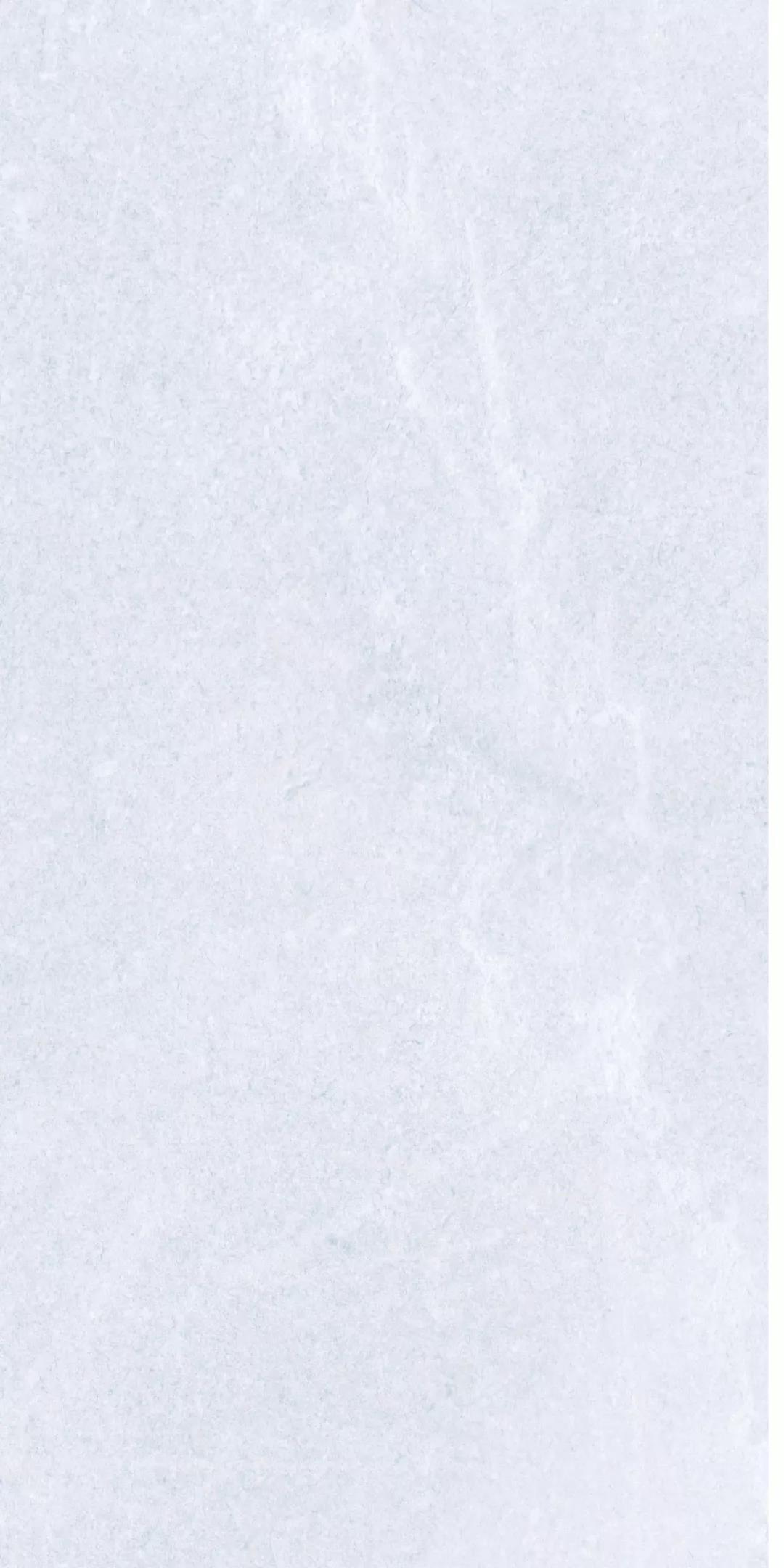 白菜资源网-白菜导航大全