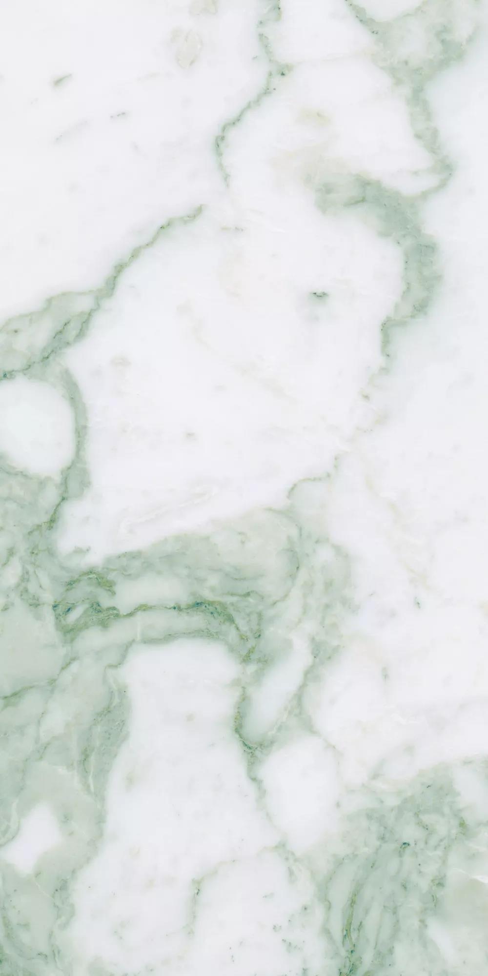 白菜资源网-白菜导航大全