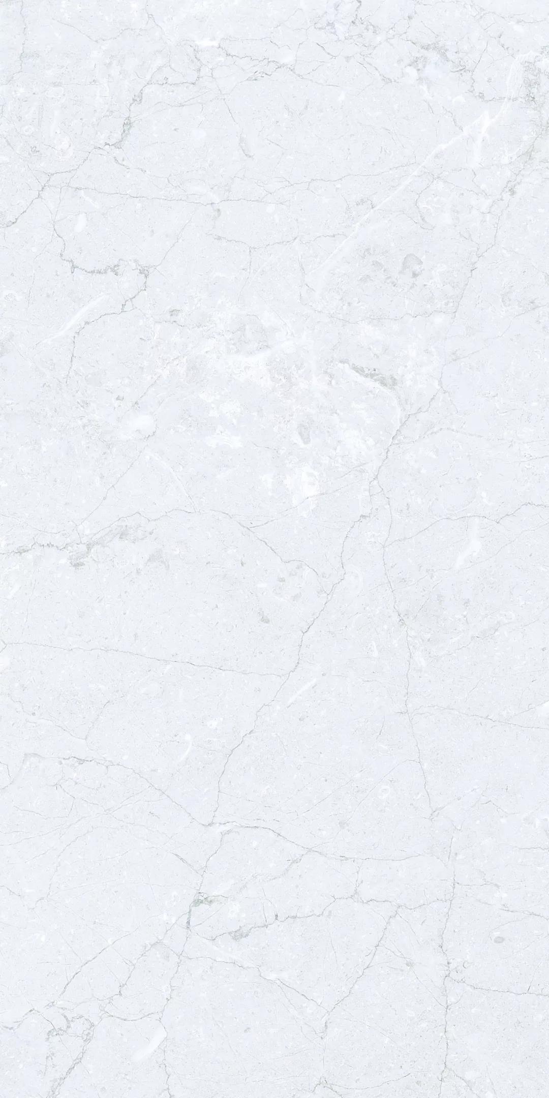 白菜资源网-白菜导航大全