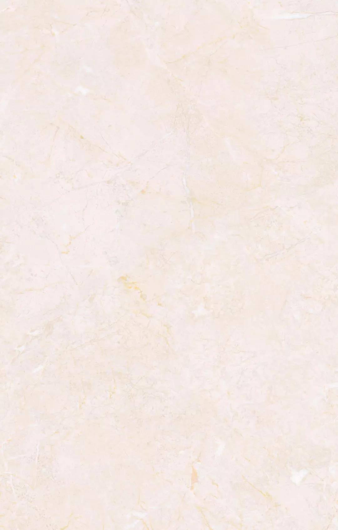 白菜资源网-白菜导航大全