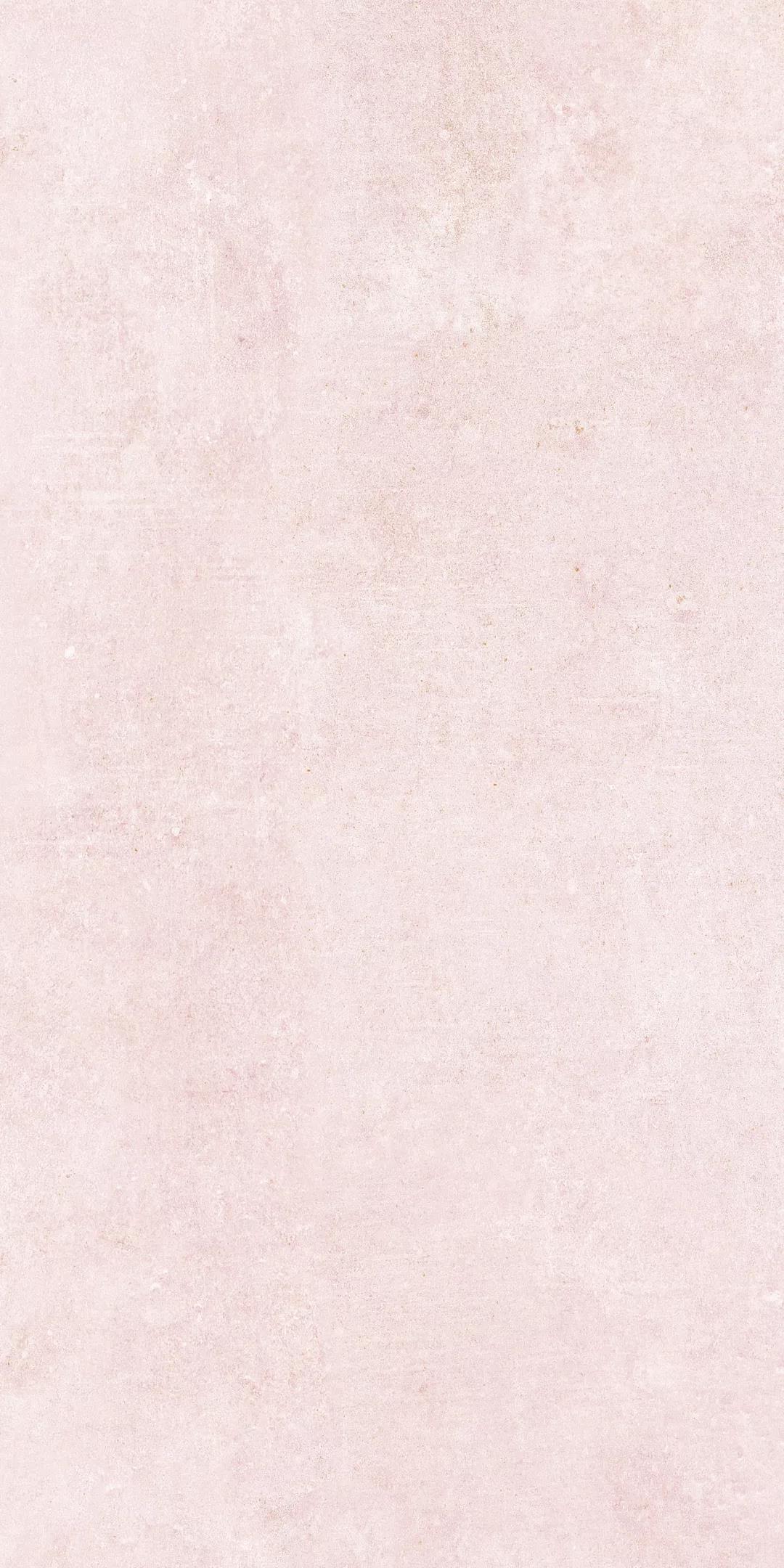 白菜资源网-白菜导航大全