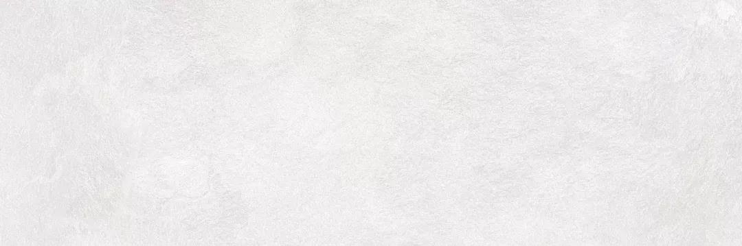 白菜资源网-白菜导航大全