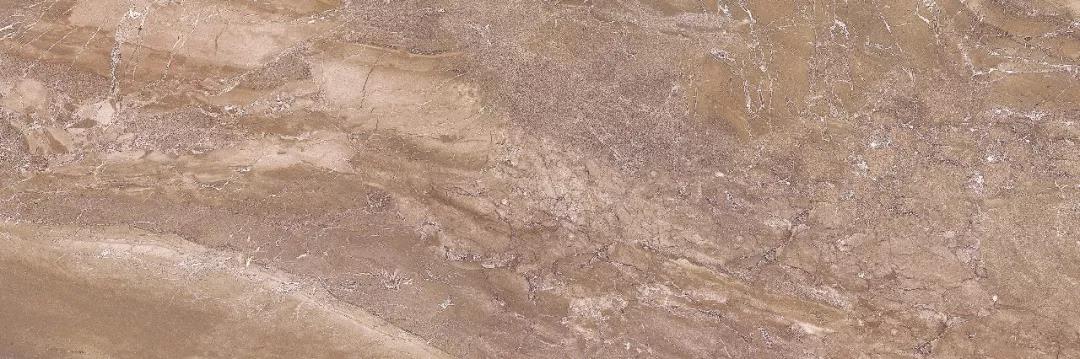 白菜资源网-白菜导航大全