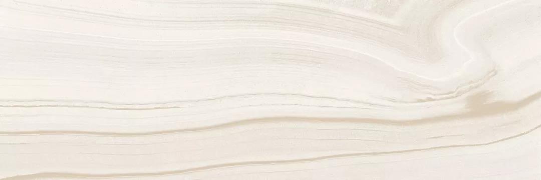 白菜资源网-白菜导航大全