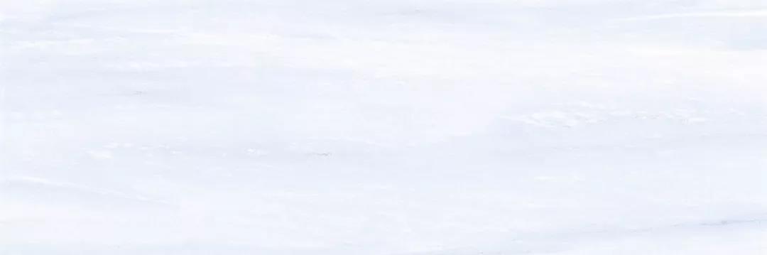 白菜资源网-白菜导航大全