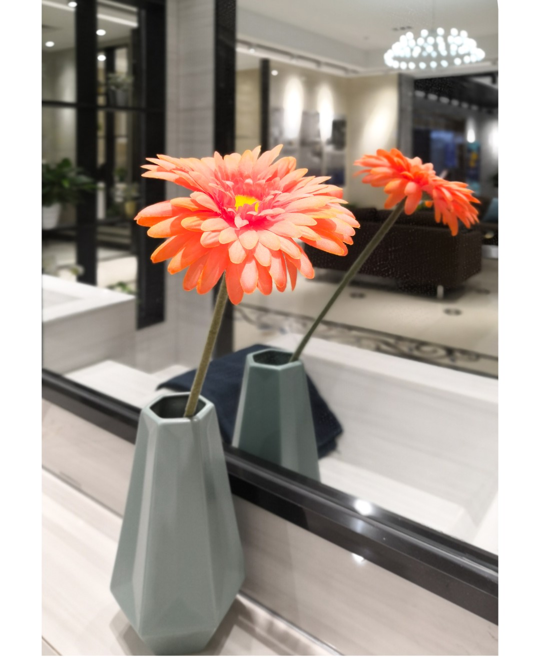 白菜资源网-白菜导航大全