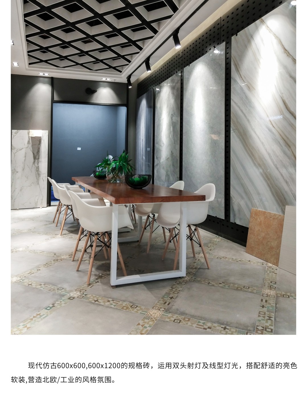 白菜资源网-白菜导航大全