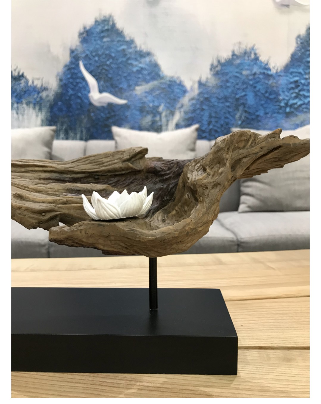 白菜资源网-白菜导航大全