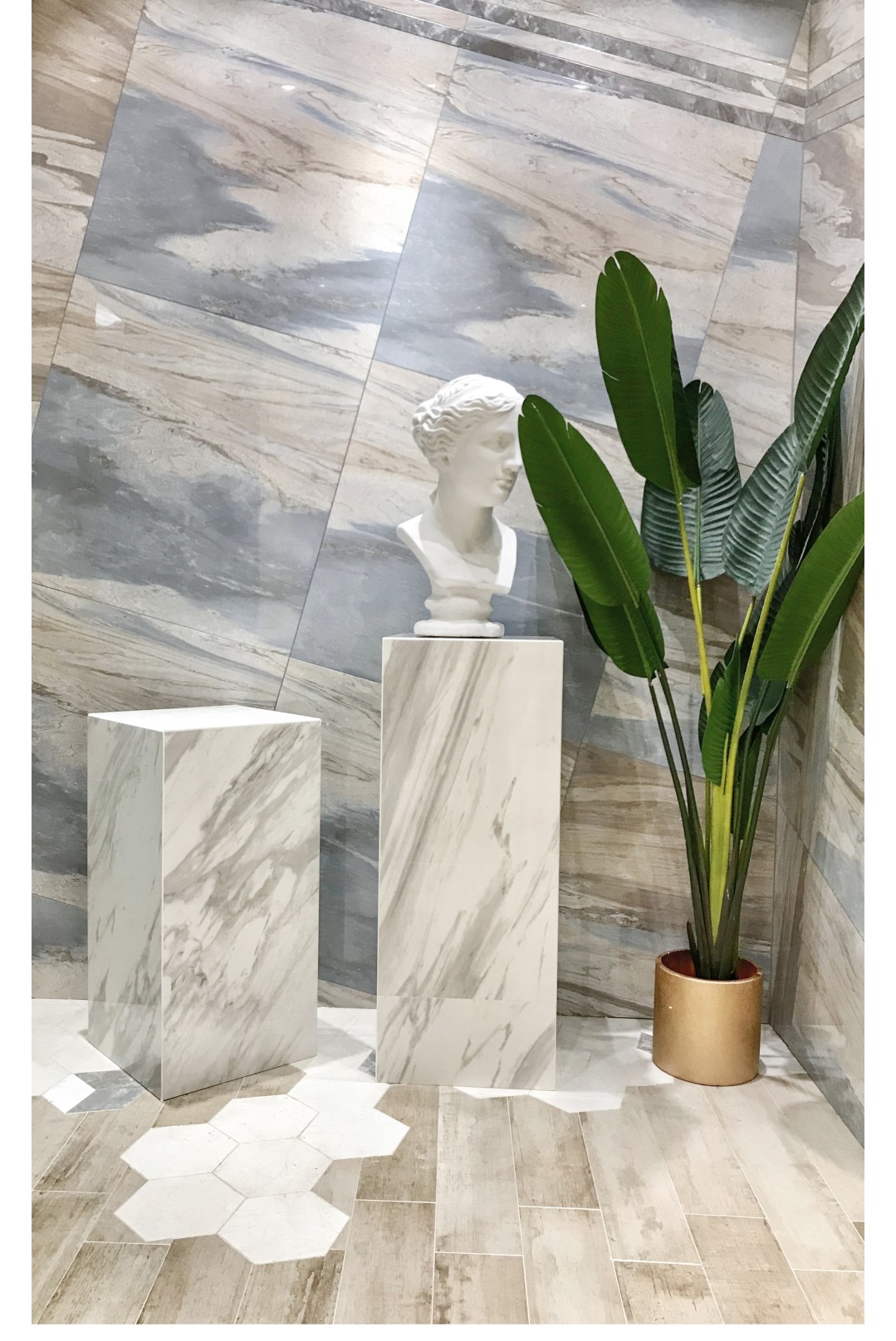 白菜资源网-白菜导航大全