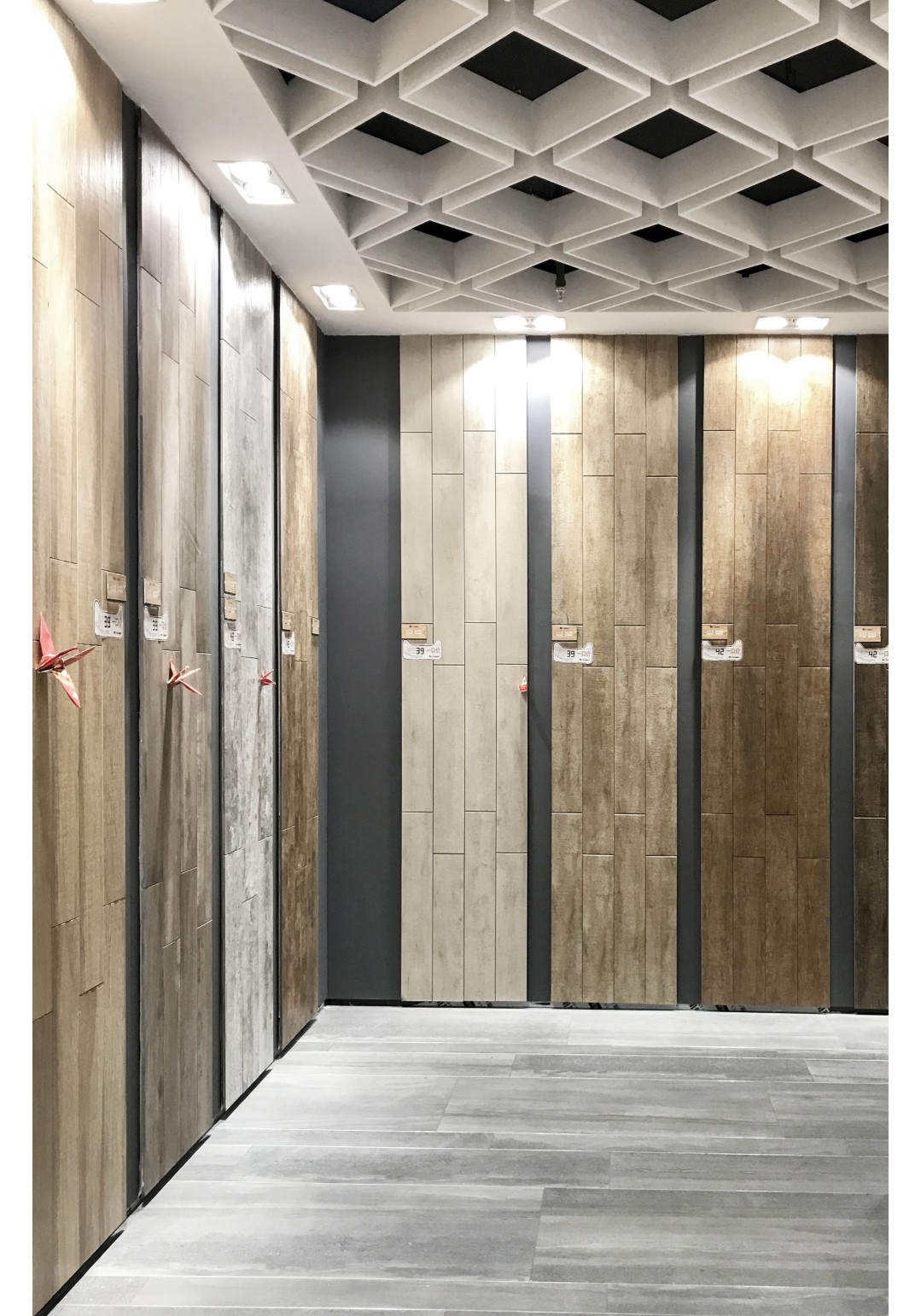 白菜资源网-白菜导航大全