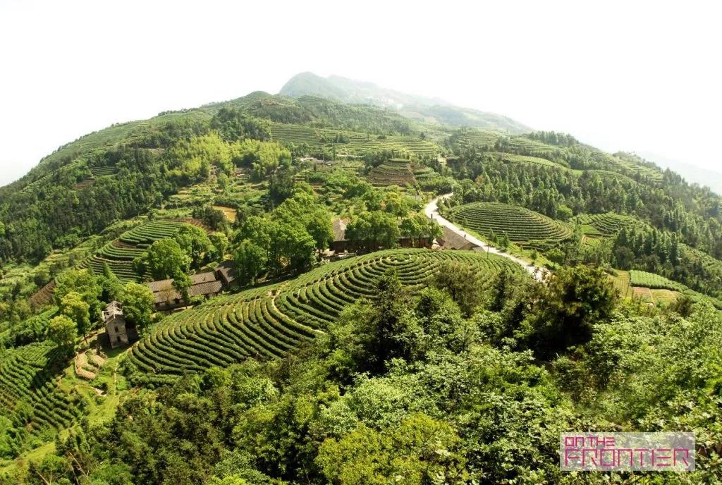 白菜资源网-白菜导航大全