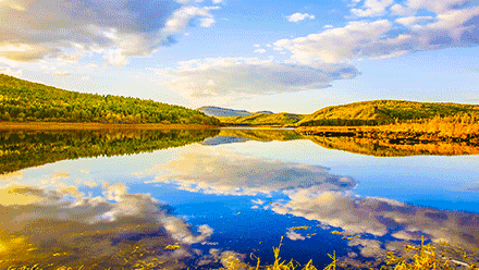 白菜资源网-白菜导航大全