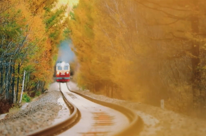 白菜资源网-白菜导航大全