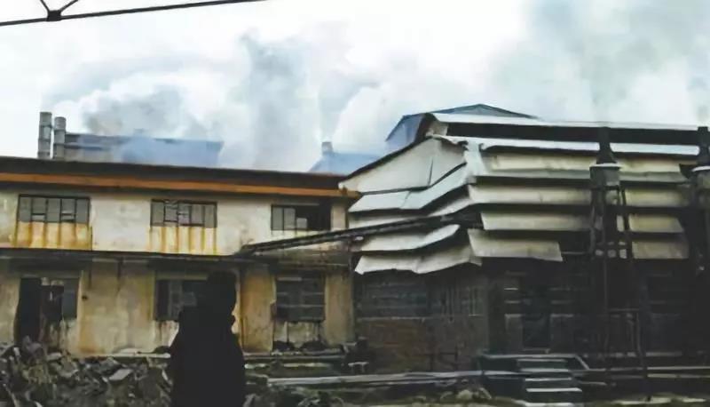 白菜资源网-白菜导航大全