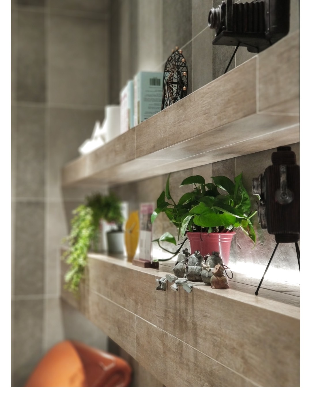 白菜资源网-白菜导航大全