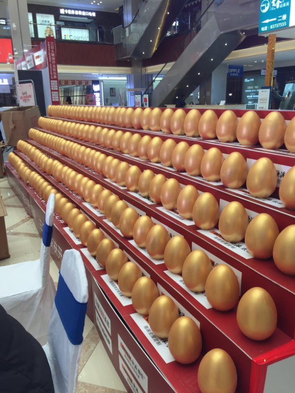 白菜资源网-白菜导航大全