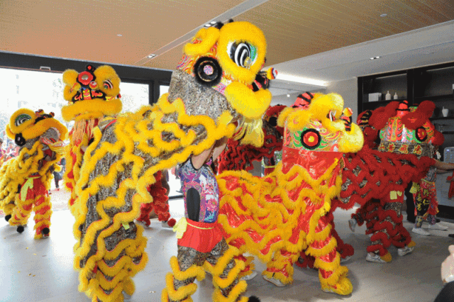 白菜资源网-白菜导航大全