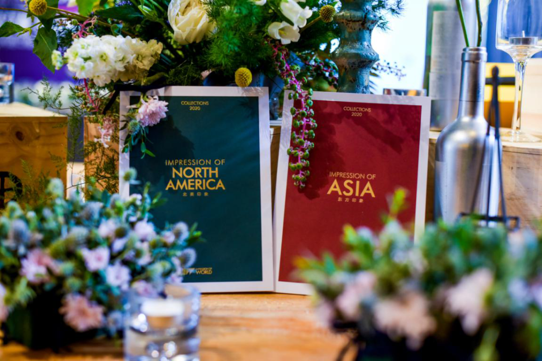 白菜资源网-白菜导航大全