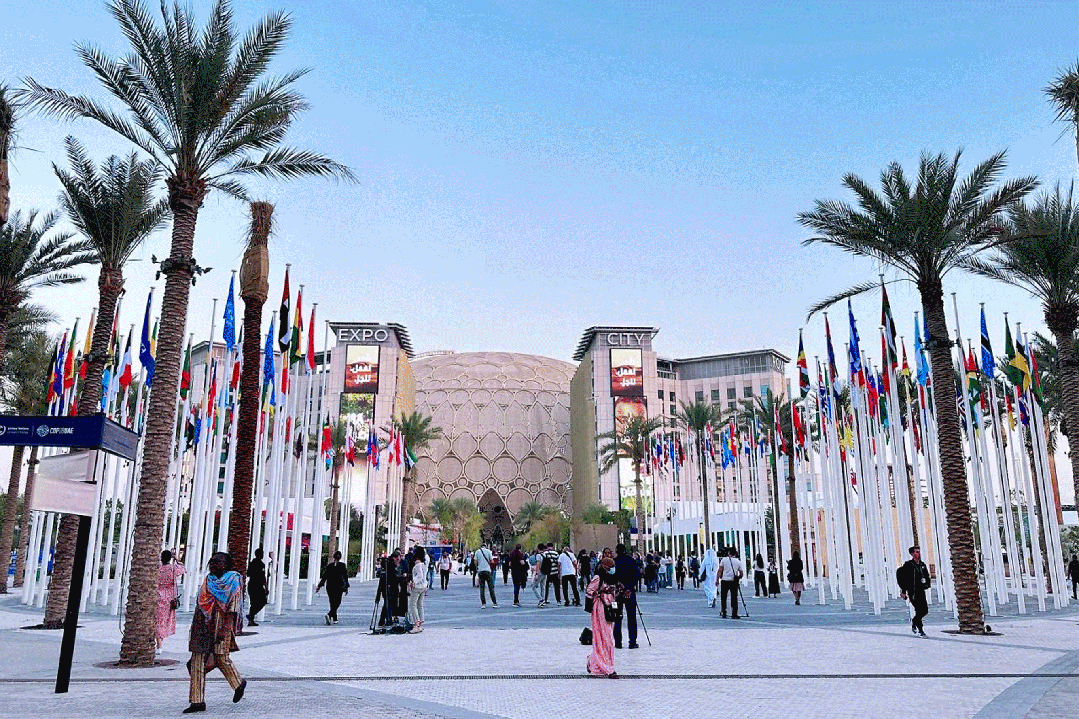 白菜资源网-白菜导航大全