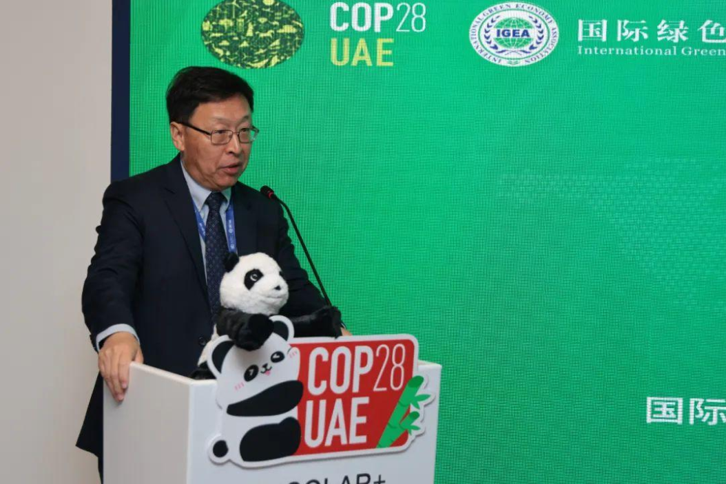 白菜资源网-白菜导航大全