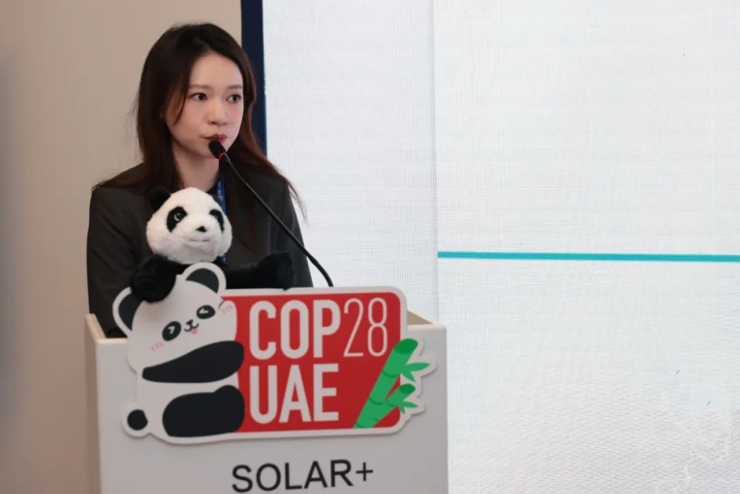 白菜资源网-白菜导航大全