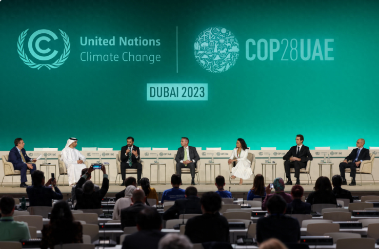 白菜资源网-白菜导航大全