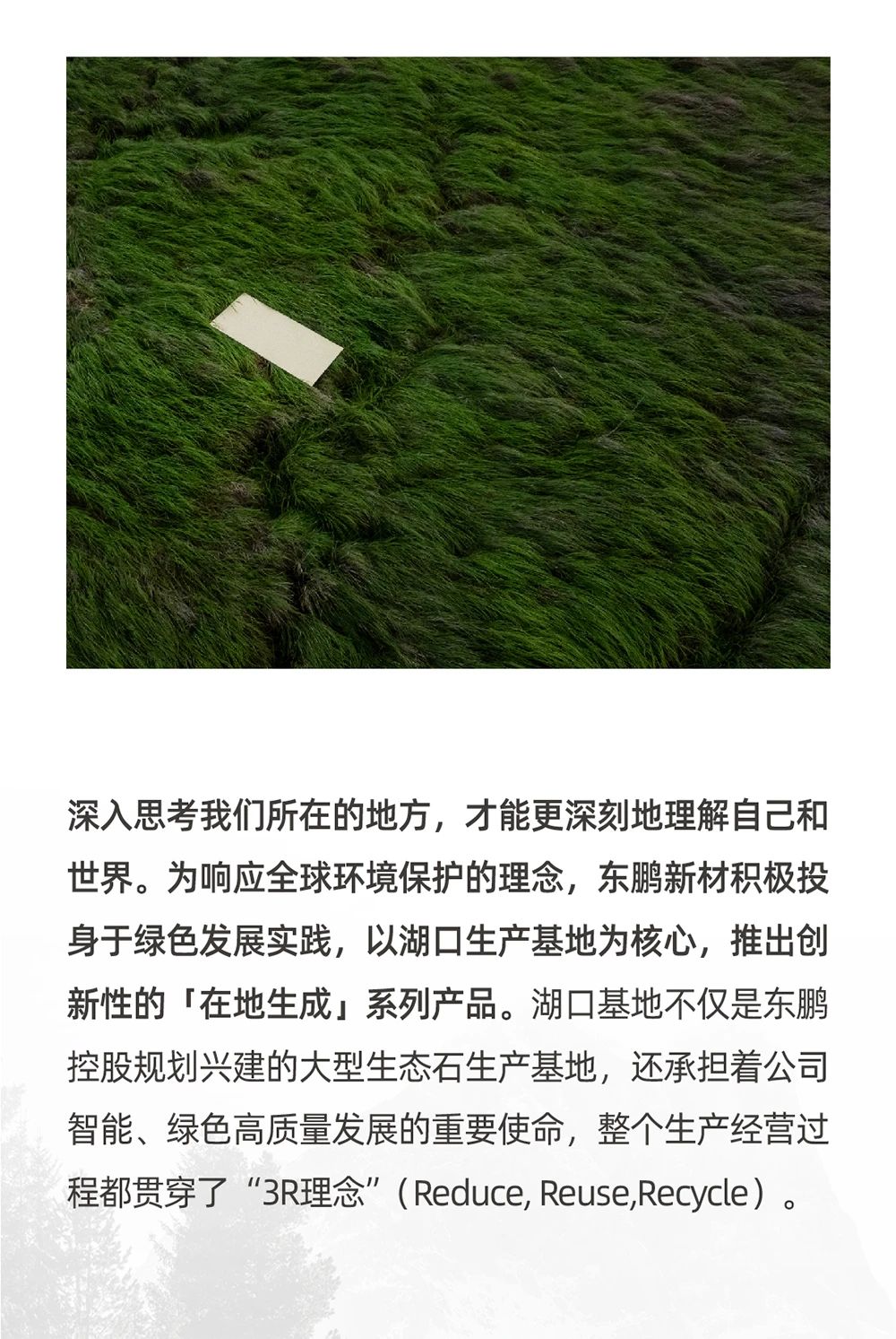 白菜资源网-白菜导航大全