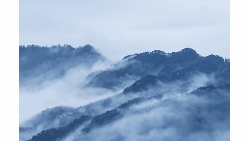 白菜资源网-白菜导航大全