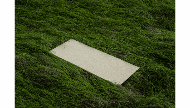 白菜资源网-白菜导航大全