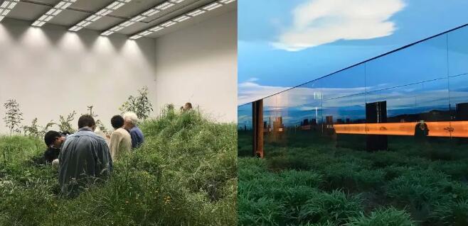 白菜资源网-白菜导航大全