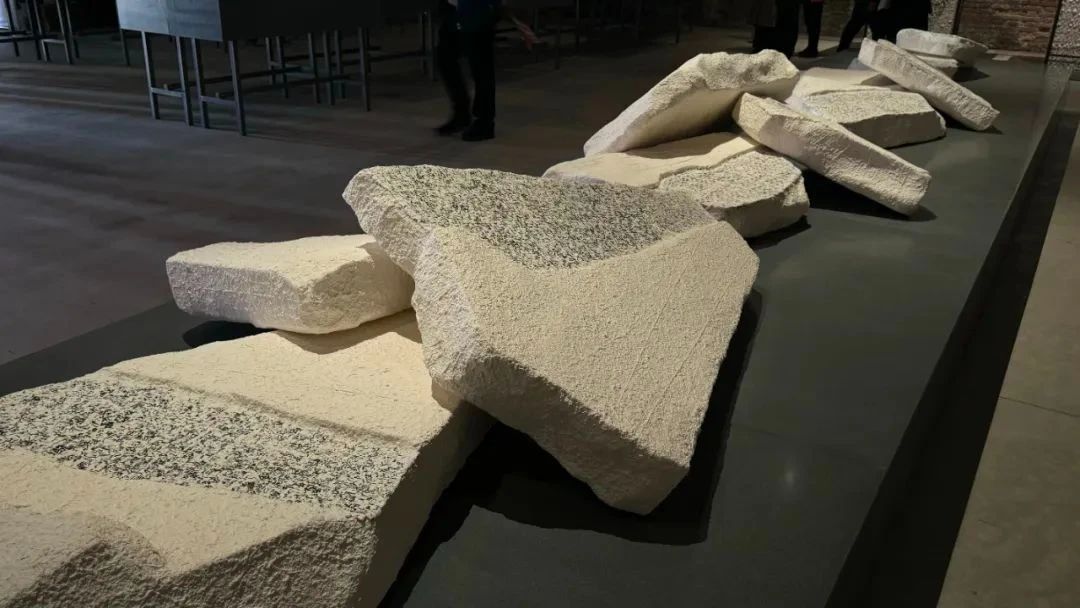 白菜资源网-白菜导航大全