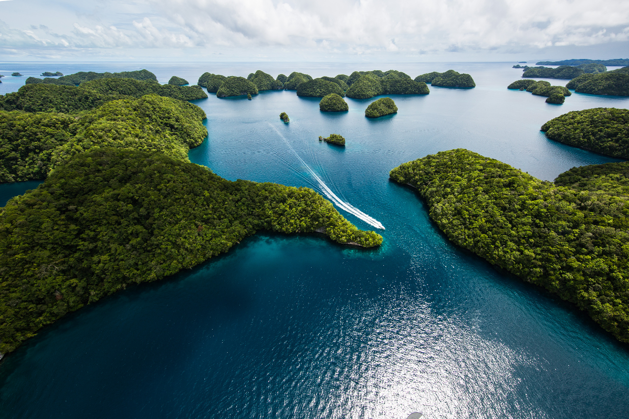 白菜资源网-白菜导航大全