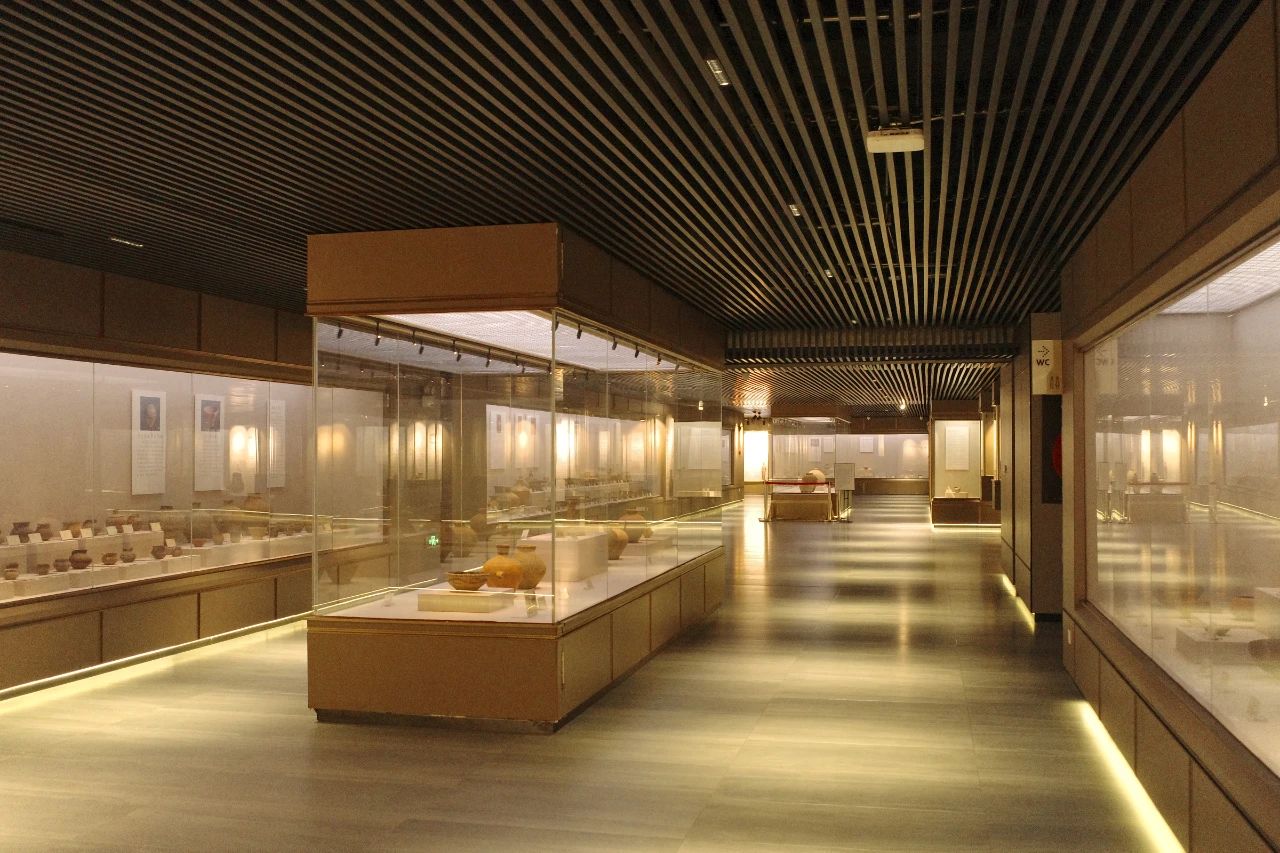 白菜资源网-白菜导航大全