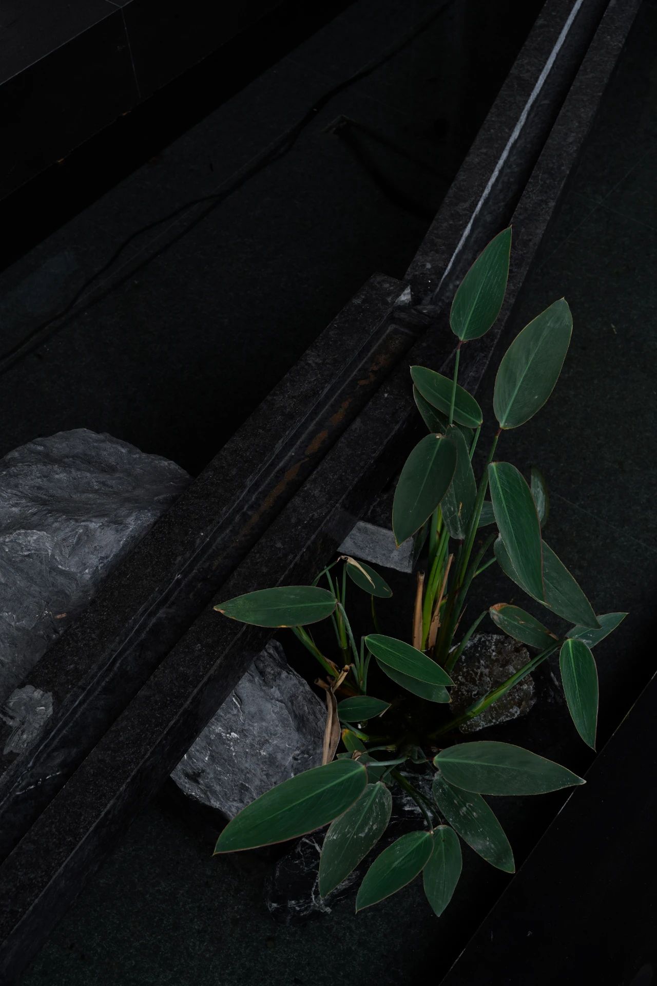 白菜资源网-白菜导航大全