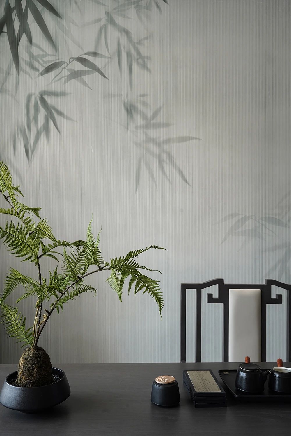 白菜资源网-白菜导航大全