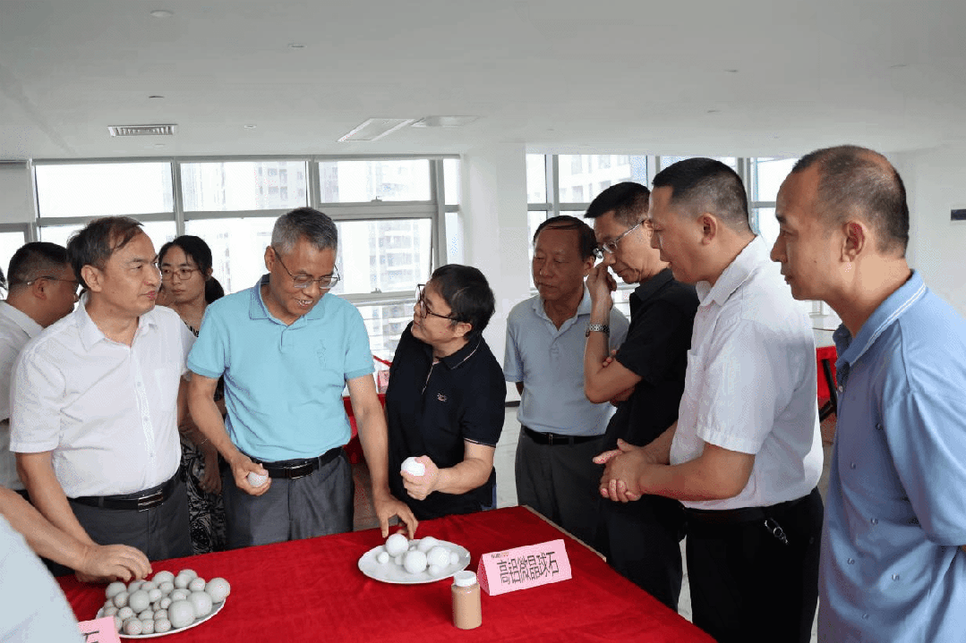 白菜资源网-白菜导航大全