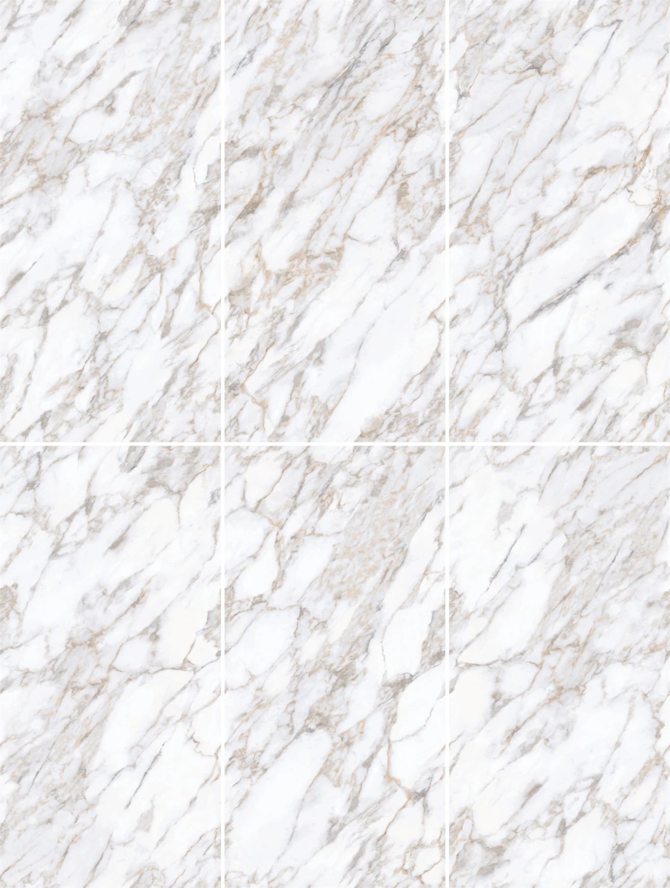 白菜资源网-白菜导航大全