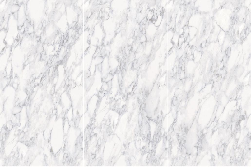 白菜资源网-白菜导航大全