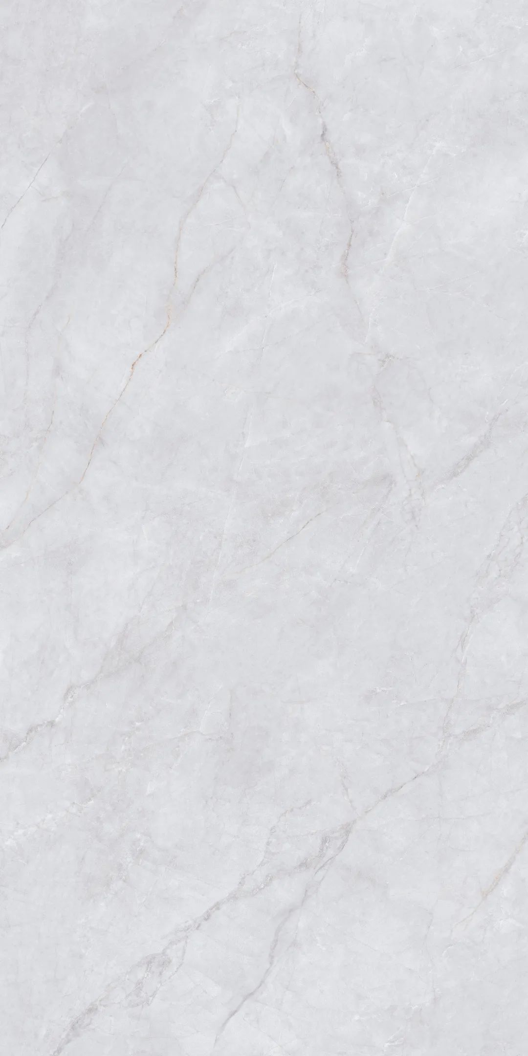 白菜资源网-白菜导航大全