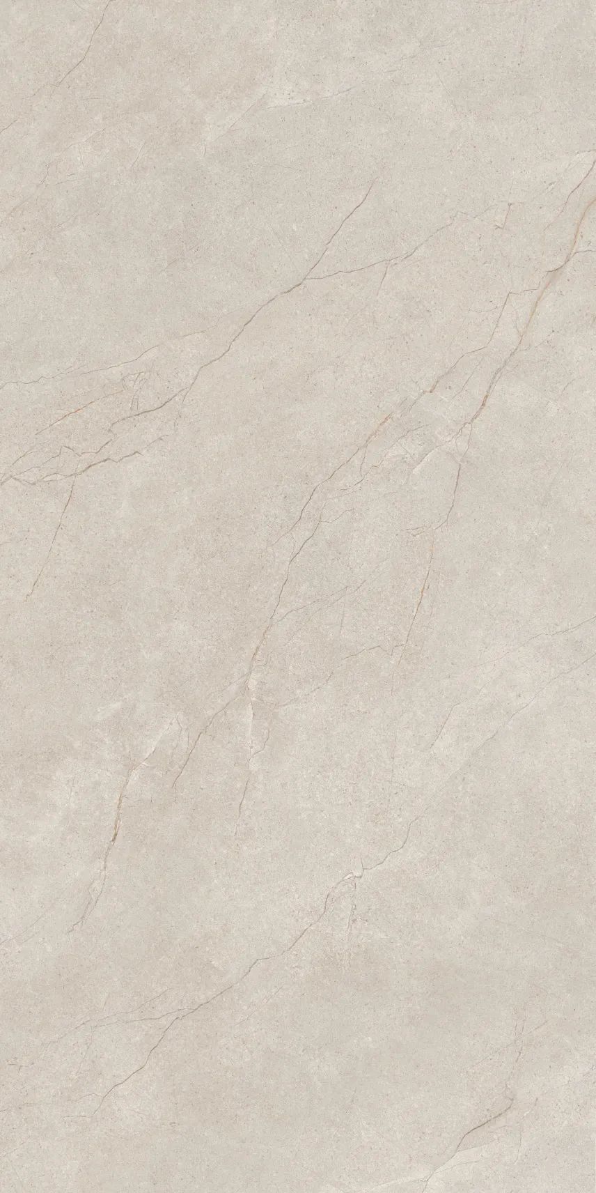 白菜资源网-白菜导航大全