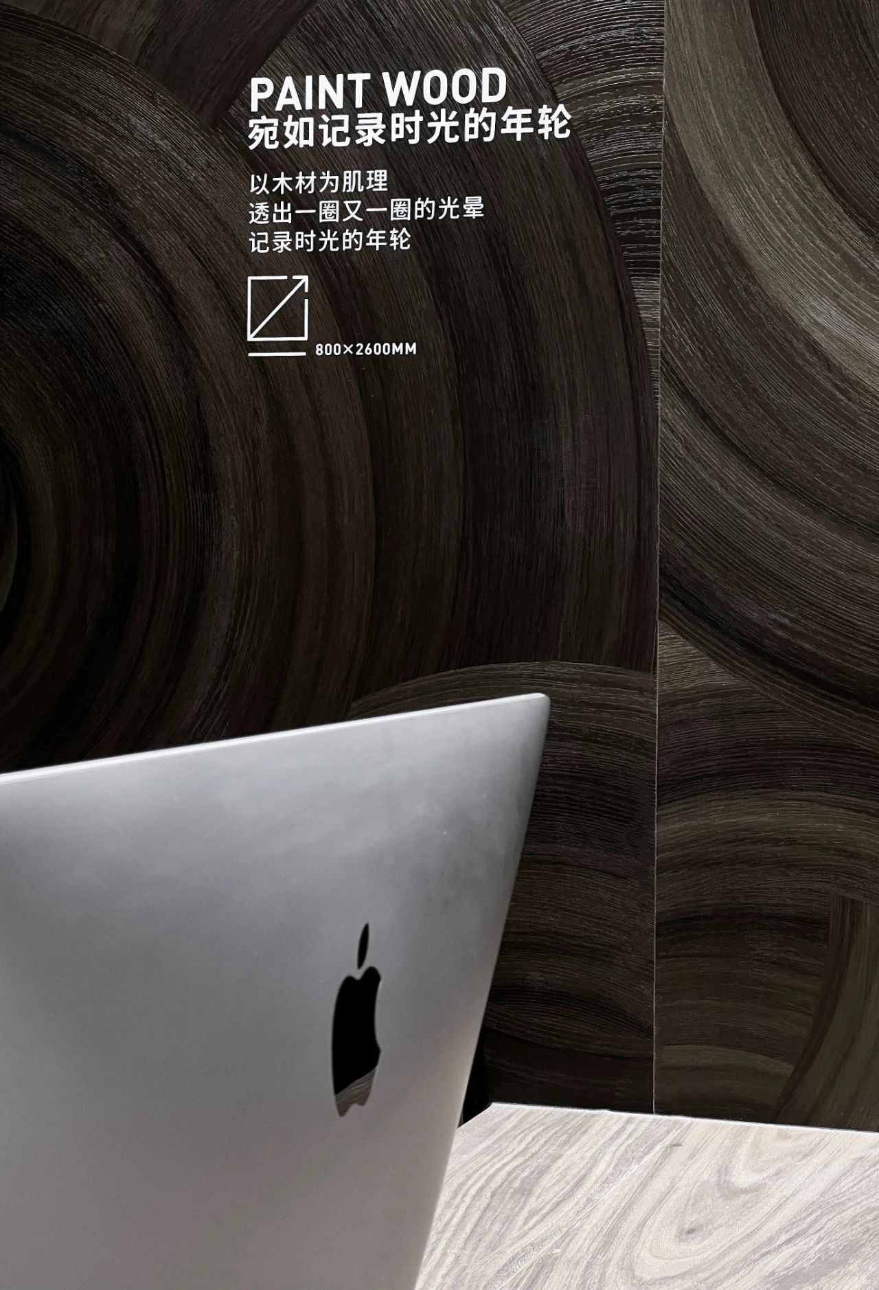 白菜资源网-白菜导航大全