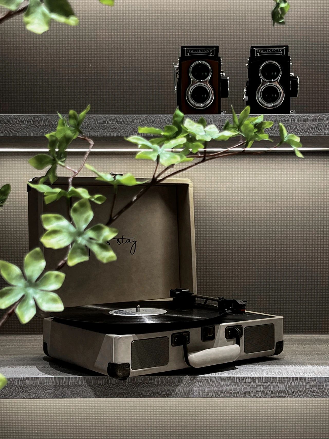 白菜资源网-白菜导航大全